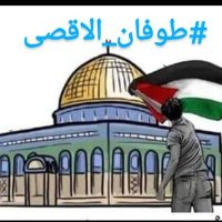 رضوان الشدادي. الحساب الثاني (@6dlsn8uakhrh4kx) 's Twitter Profile