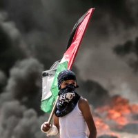 Sótanos del Infierno 🏨🇵🇸 (@los_sotanos) 's Twitter Profile Photo Sótanos del Infierno 🏨🇵🇸 (@los_sotanos) 's Twitter Profile Photo