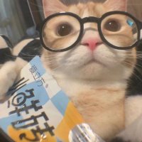 ʚ m e i ɞ 美 (@summeiko) 's Twitter Profile