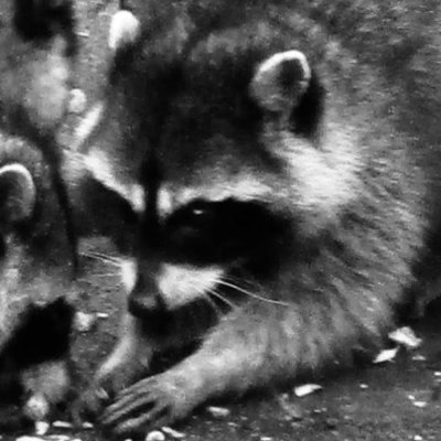 petya_ivanovich's profile picture. 