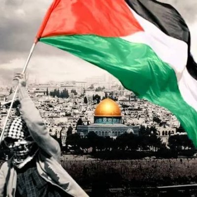 zakariaelbojar2's profile picture. Maroc