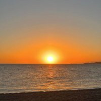 Grace smith (@sansalonecarl) 's Twitter Profile