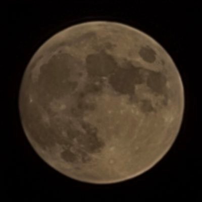 TreeEndles's profile picture. 🎧🪴🦜🪐📚🍷