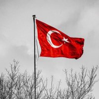 Kübra Dursun 🇹🇷 (@kbradrsn4) 's Twitter Profile
