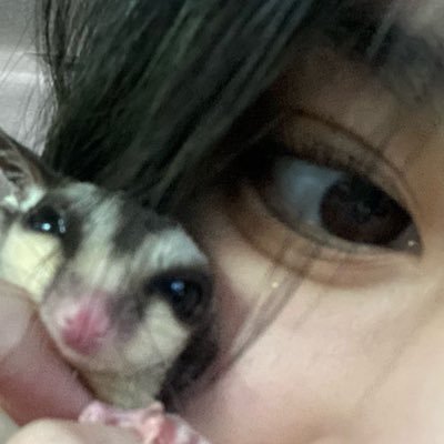 kikyadityaaa's profile picture.
