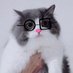 ねこの秘書 (@nekonohisho316) Twitter profile photo ねこの秘書 (@nekonohisho316) Twitter profile photo