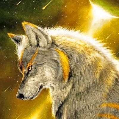 Wolf_den7's profile picture. Psychiatrist by profession.
Interests in hacking.