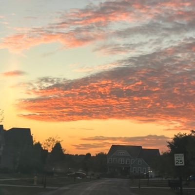 Lianabt876's profile picture. 