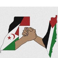 🇪🇭Mariam🇵🇸(@Mariam19700083) 's Twitter Profile Photo