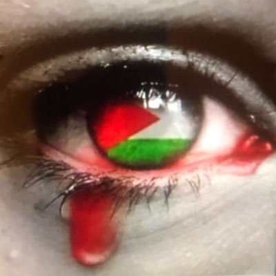patipeladazurda's profile picture. fachos, rechazos centro izquierda y cualquier centro pasen de largo ….la tolerancia murió el mismo día que la NC