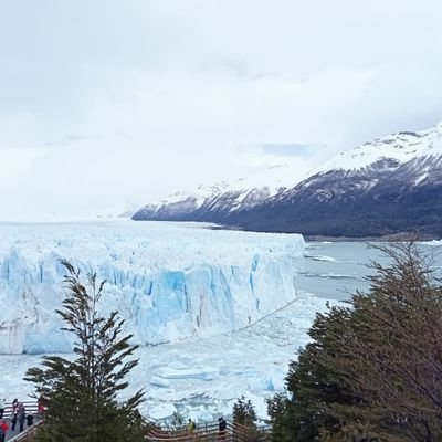 blanco91889's profile picture. 