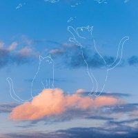 堇青 (@yichen950822) 's Twitter Profile