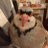 midorinoakky's profile image
