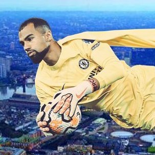 RobinDZZ's profile picture. 