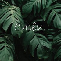 Chiêu base.eth🌳 (Ø,G).ink (@nguyent23732836) 's Twitter Profile