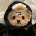 Zzzzzz (@xcno74lyhnjcs8g) Twitter profile photo Zzzzzz (@xcno74lyhnjcs8g) Twitter profile photo