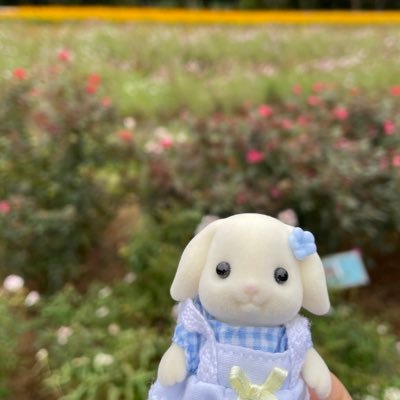 アレンαさんのプロフィール画像