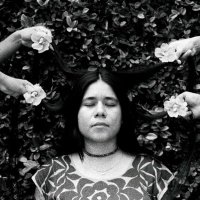 Fernanda Latani 🪲 (@volcanicaa) 's Twitter Profile