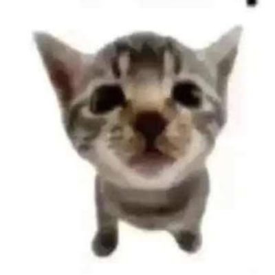 Alienskitty's profile picture. 🏳️‍🌈🏴‍☠️🇨🇦🇮🇪🇺🇲 |
Up the RA |
I just use this platform for porn