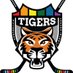 Pittsburgh LGBTQ+ Hockey (@Pgh_Tigers) Twitter profile photo