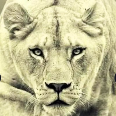 GiH32054503's profile picture. Been to heaven and back, Christian, military family, married to love of my life @Jape818, proud mother and “GiGi”awaiting Yeshuah Homashiah’s return. No DMs 🚫