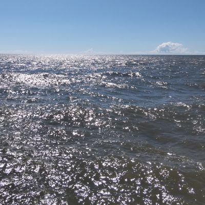 PeriodYellow's profile picture. 株がメインです。株式投資歴はそこそこ長く、超長期投資スタイル。フィアット500、日本株、アメリカ株、アート、神社仏閣参詣、革ジャン、成城石井をこよなく愛する者😆米株PF｢七人の侍2021｣100mあたり🤗目指せbillionaire🤩