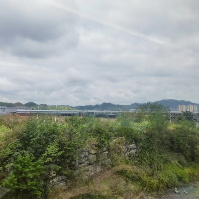 Daniel_SWPC's profile picture. 