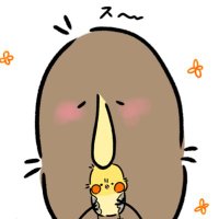 きーうぃ🥝 (@keywy3) 's Twitter Profile