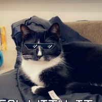 Adam Bayless (@mopedingmaniac) 's Twitter Profile