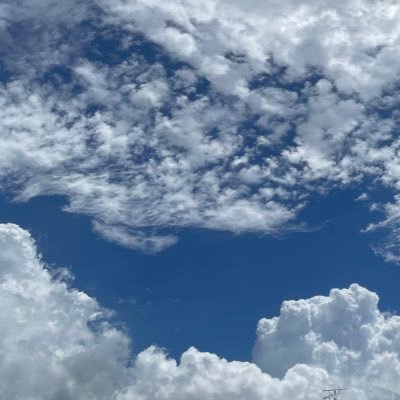 はうさんさんのプロフィール画像