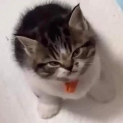 iiirdyw's profile picture. 𝗂’𝗆 𝗋𝖾𝖺𝖽𝗂𝗇𝗀.