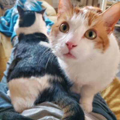 LurdesgomezG's profile picture. 