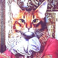 atoRi🐿️🐿️🐿️ (@mofu_0x0_mofu) 's Twitter Profile Photo