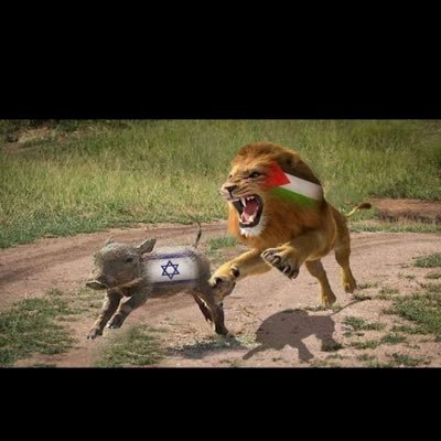 Mohamed59734354's profile picture. نحن لا نيأس إما ننتصر او نموت ✌️✌️🇪🇬🇪🇬