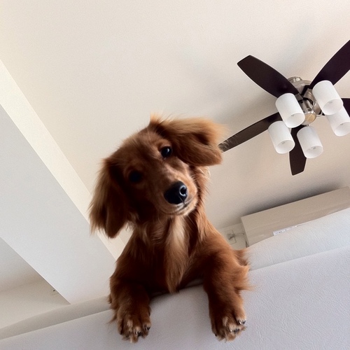 jun00i's profile picture. ゴルフとフットサル、最近写真撮るのにハマりぎみ。