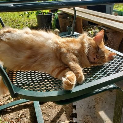 jawnconnuh's profile picture. bruh