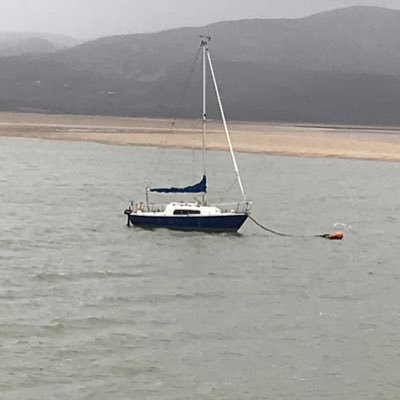 willow00127's profile picture. 