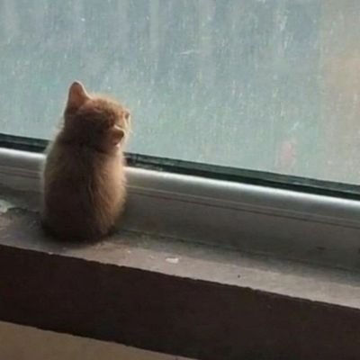 idkclown's profile picture. eng/rus speaker & pikin' up latvian bc why not?
happy dude from st petersburg (russia, not usa), actor by trade