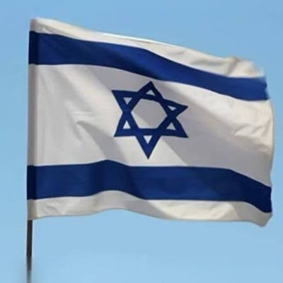 DumbHamasLuvrs's profile picture. “People” who excuse terrorism.