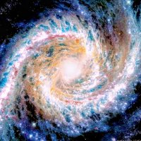 Ffrankt125 (@ffrankt2) 's Twitter Profile