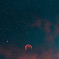 xiQ |🍂 (@bsjeim1) Twitter profile photo