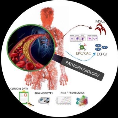 Team Leader of the Pathophysiology and Regenerative Medicine Group | Hospital Nacional de Parapléjicos, SESCAM.