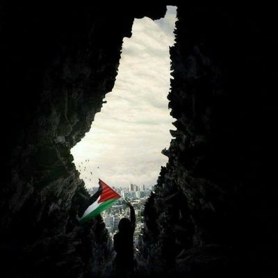 Reebxa's profile picture. On fire from within , the moon lives
 in the lining of my skin ... !  |
Trying to be a better Muslimah everyday 🌸

#FreePalestine