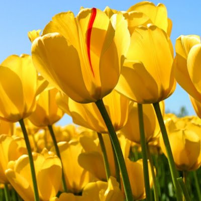 AddlspP88824's profile picture. 