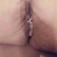 Min Mèo ❤️ Memecoin (@milanomukani) 's Twitter Profile