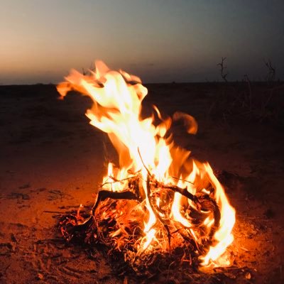 SatemAli's profile picture. متداول اسهم (الامريكيه ) لانوصي لابيع ولاشراء ، شرعيه السهم عليك