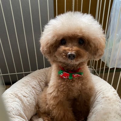 ThitanT's profile picture. 舘様🌹のしなやかで優美で力強いダンスと艶めかしい表情にメロメロです✨ /日産2日目スノLIVEデビュー/♡押しまくり😅/🌾県/ヘッダーは許可を得て使わせていただいてます🙇