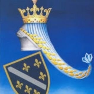 Arnes224's profile picture. 