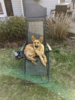 nyisles_4444's profile picture. 