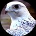 khald & (@khald2132) Twitter profile photo khald & (@khald2132) Twitter profile photo